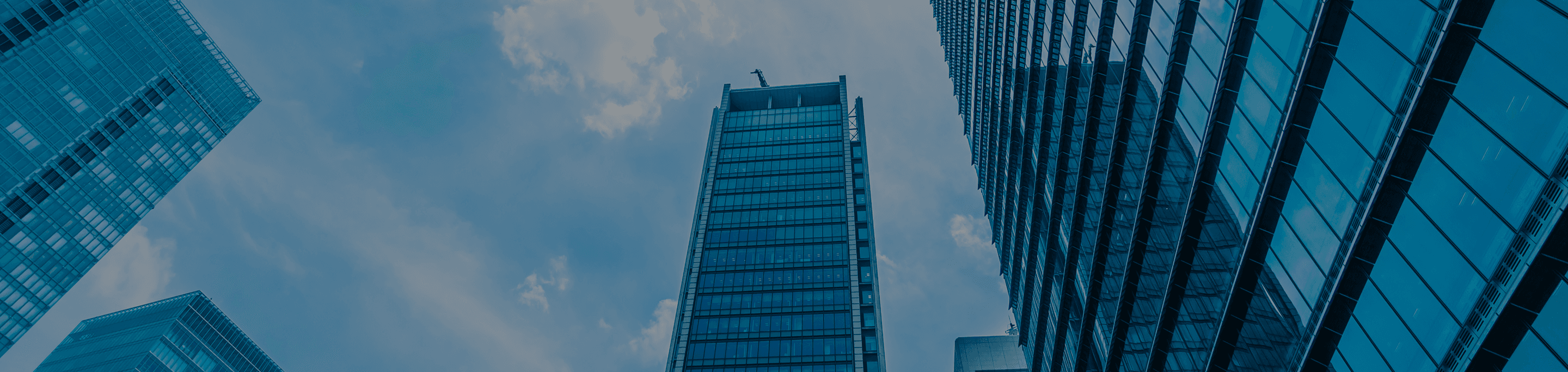 회사소개 섹션1